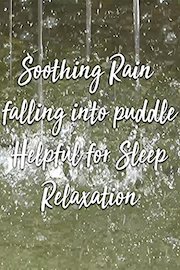 Soothing Rain falling into puddle Helpful for Sleep Relaxation