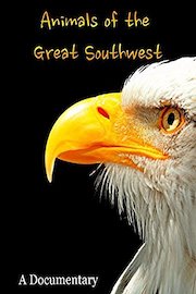 Animals of the Great Southwest A Documentary