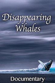 Disappearing Whales Documentary