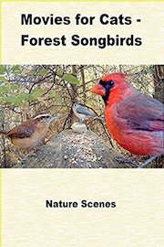 Movies for Cats - Forest Songbirds