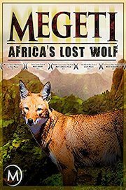Megeti: Africa's Lost Wolf