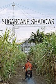 Sugarcane Shadows