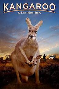 Kangaroo