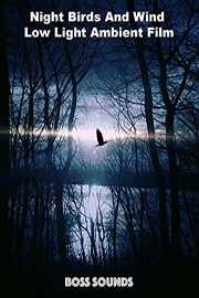 Night Birds And Wind Low Light Ambient Film