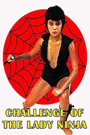 Challenge Of Lady Ninja