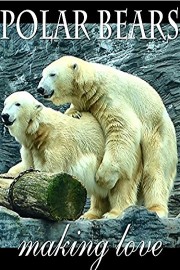 Polar Bears Making Love