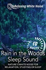Rain in the Woods Sleep Sound 10 Hours - Nature's White Noise For Relaxation, Studying or Sleep