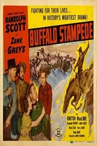 Buffalo Stampede