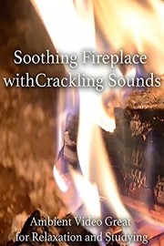 Soothing Fireplace with Crackling Sounds Ambient Video Great for Relaxation and Studying