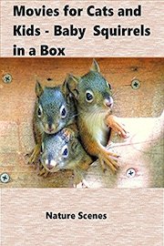 Movies for Cats and Kids - Baby Squirrels in a Box