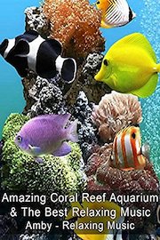 Amazing Coral Reef Aquarium & The Best Relaxing Music - Amby - Relaxing Music