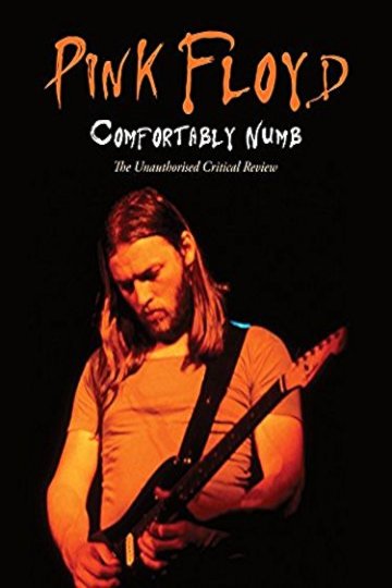 Watch Pink Floyd - Comfortably Numb Online | 2008 Movie | Yidio