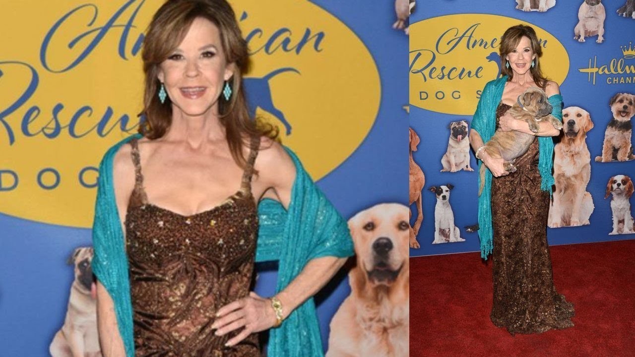 2018 American Rescue Dog Show