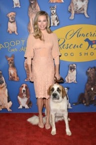 2018 American Rescue Dog Show