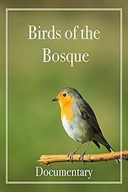 Birds of the Bosque Documentary