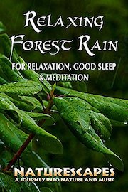 Relaxing Forest Rain for Relaxation, Sleep & Meditation - Naturescapes4K