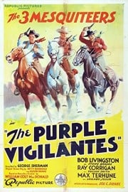 Purple Vigilantes