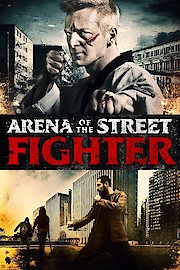Arena Of The Street Fighter