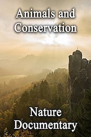 Animals and Conservation: Nature Documentary