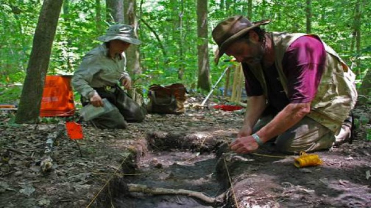 Escape to the Great Dismal Swamp