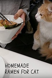 Homemade Ramen For Cat