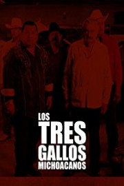 Los Tres Gallos Michoacanos II