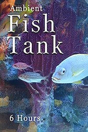 Fish Tank - 6 hours