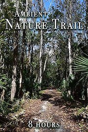 Ambient Nature Trail - 8 hours