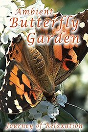 Ambient Butterfly Garden