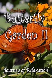 Ambient Butterfly Garden II - Journey of Relaxation