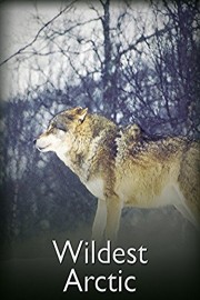 Wildest Arctic