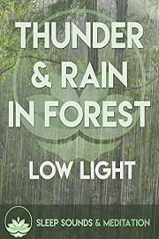 Thunder & Rain in Forest - Low Light Sleep Sounds & Meditation