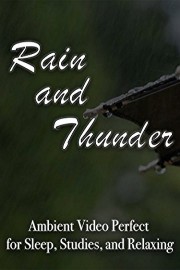 Rain and Thunder Ambient Video Perfect for Sleep, Studies, and Relaxing