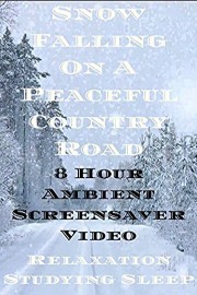 Snow falling on a peaceful country road screensaver 8 hour ambient video for relaxation studying sleep