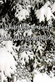 White Noise Ambient Video with Slow falling Snow