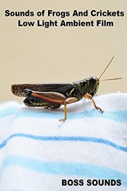 Sounds Of Frogs Crickets And Low Light Ambient Film