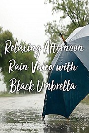 Relaxing Afternoon Rain Video with Black Umbrella