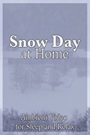 Snow Day at Home Ambient Video for Sleep and Relax