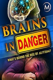 Brains in Danger: What's Behind the Rise of Autism?