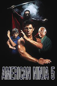 American Ninja V