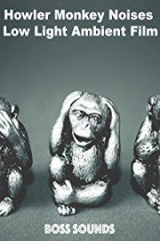 Howler Monkey Noises Low Light Ambience Film