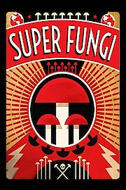 Super Fungi