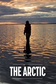 The Arctic