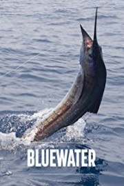 Bluewater Fly Fishing