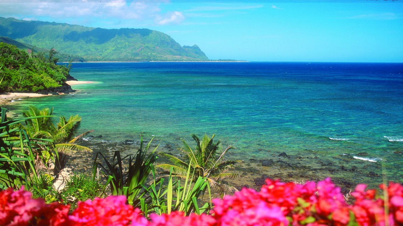Scenes of Hawaii: Tropical Scenes set to Relaxing music