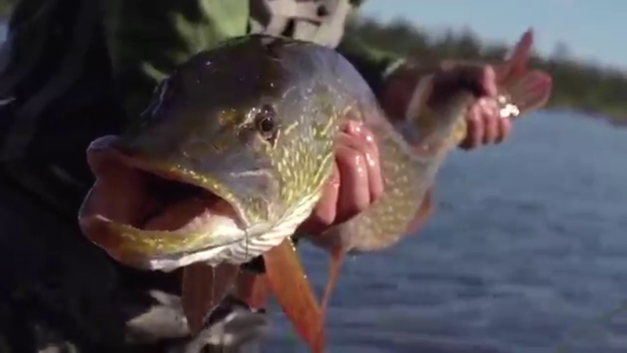 Turning Points North