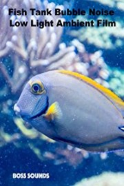 Fish Tank Bubble Noise Low Light Ambient Film