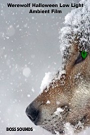 Werewolf Halloween Low Light Ambience Film