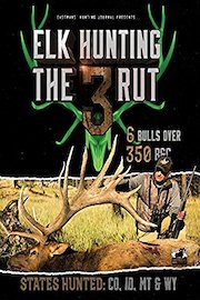 Elk Hunting the Rut 3