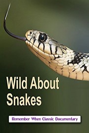 Wild About - Snakes